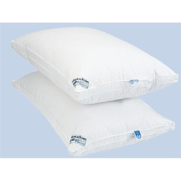 Dania Down Daniadown 2000101 Regular Royal Pillow 2000101